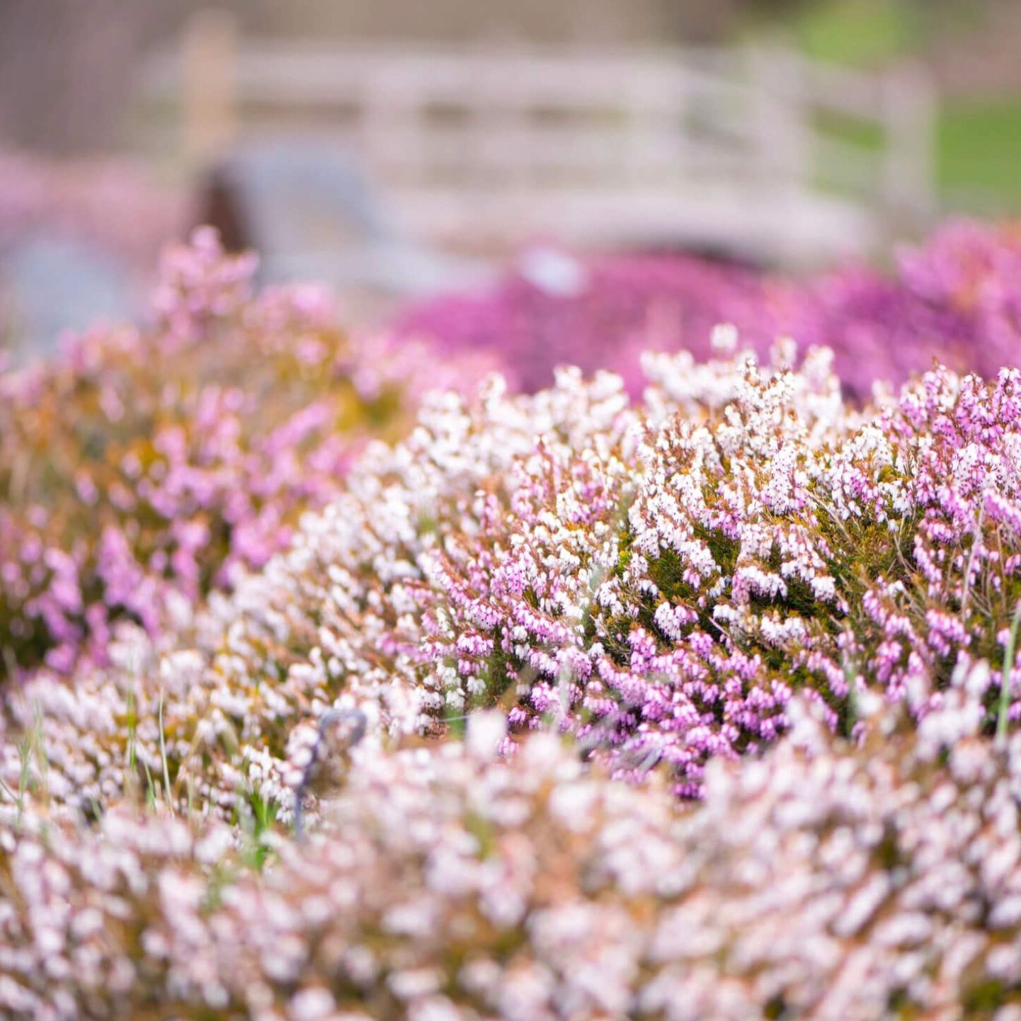 Screenshot 2025-10-13 at 11.43.42 AM